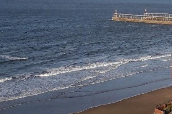Sea