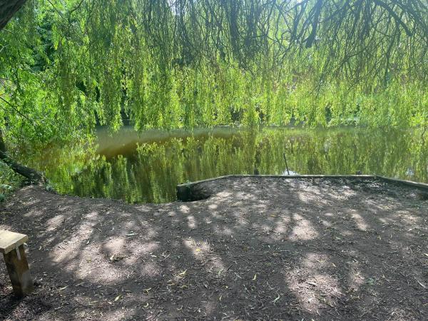 POND