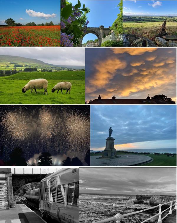 Photo contest pictures